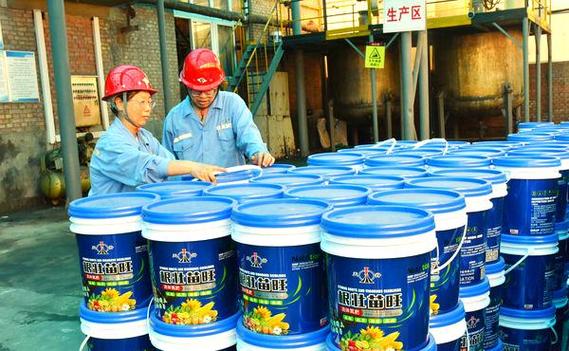 钾盐公司荣膺省级绿色工厂称号，引领行业可持续发展与技术发展新篇章